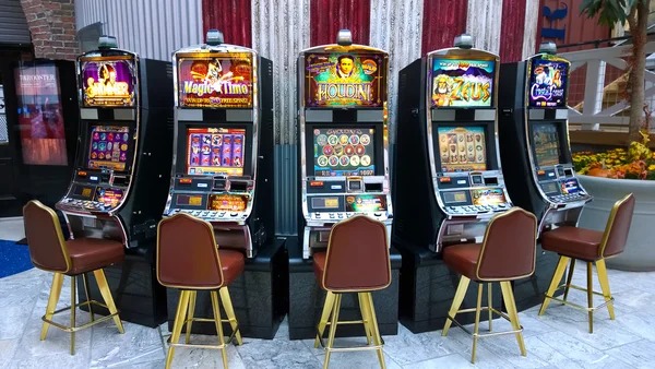 tribun855 slot Bingo